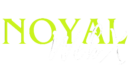 Noyal Digital Marketer